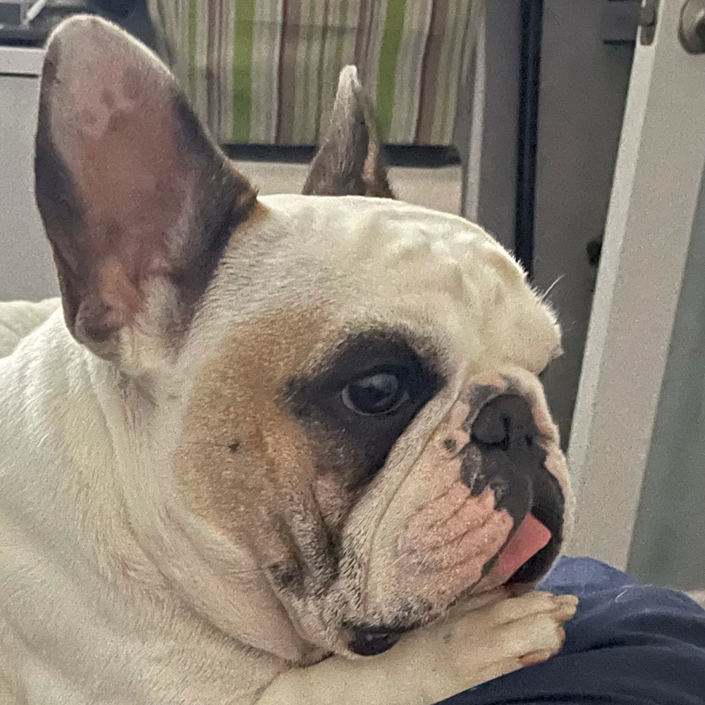 Meet your Posher, Ana paola